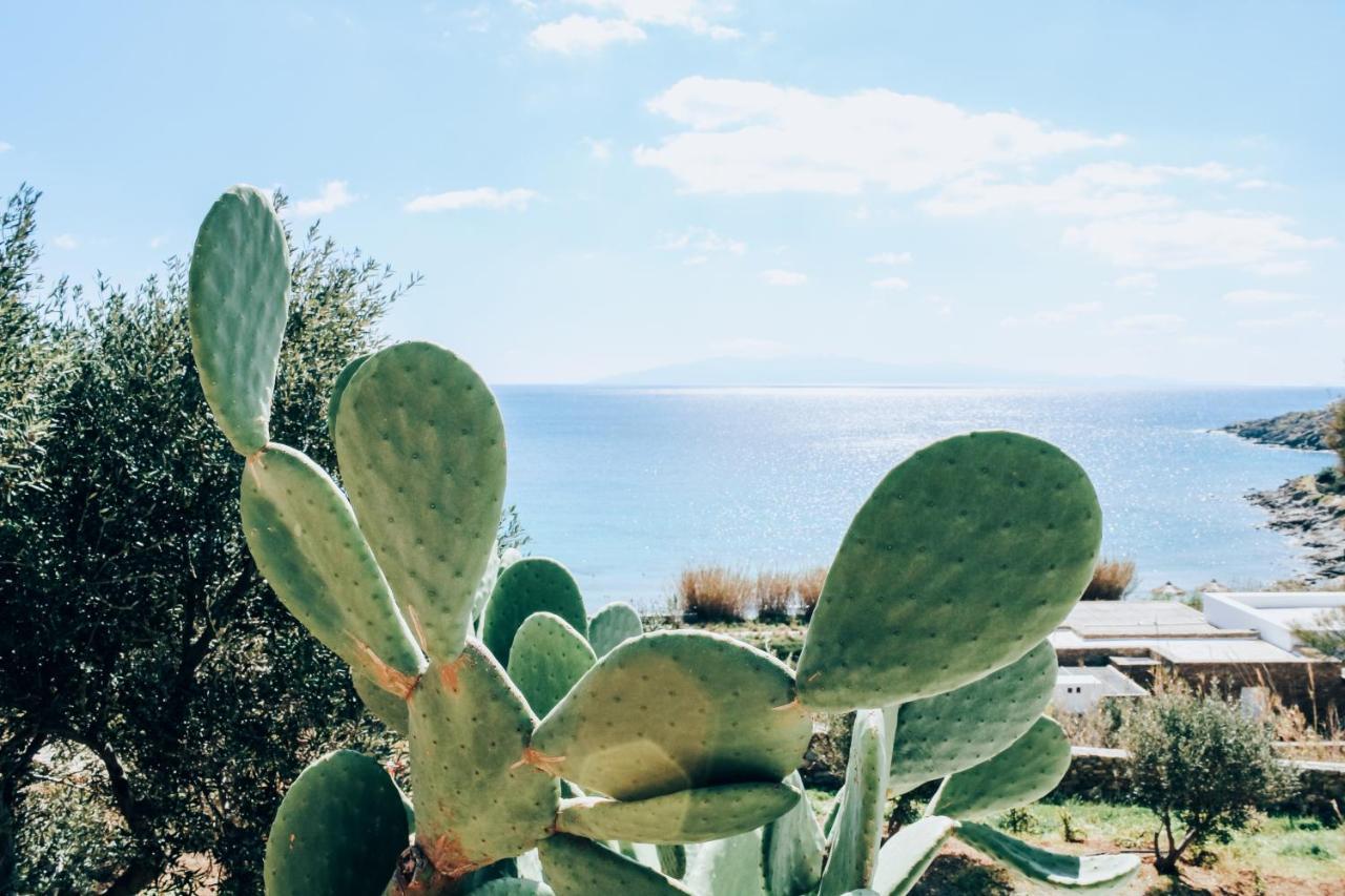 The Elaia House Mykonos Villa Ornos  Exterior foto