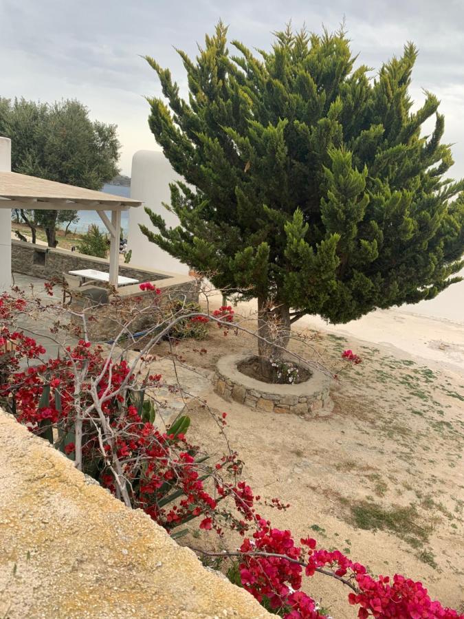 The Elaia House Mykonos Villa Ornos  Exterior foto
